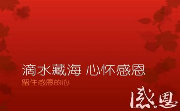 感恩优秀演讲稿优质5篇
