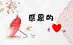感激的心作文500字7篇