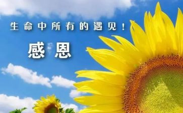 我最感谢的人作文7篇