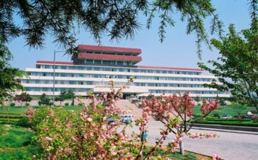2024高校教师工作总结6篇