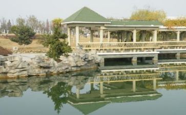 2024高校教师工作总结通用6篇