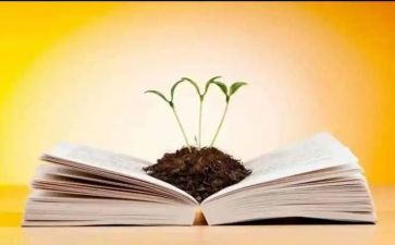 家给予我温暖作文优秀5篇