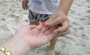 家给予我温暖作文7篇