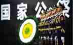 清明节公祭活动方案5篇