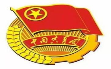 做合格共青团员心得5篇
