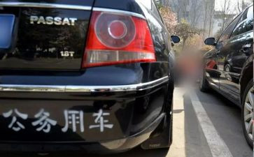 公务年度个人总结参考7篇