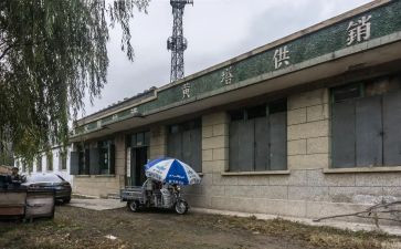 区供销社2024年工作总结5篇