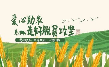 致富带头主要事迹5篇