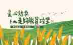 致富带头主要事迹5篇