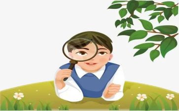 幼儿教师观察的心得体会6篇