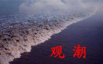 观潮读后感400字作文精选5篇