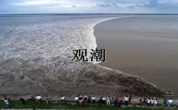 观潮读后感15字参考8篇