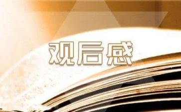 小q观后感400字推荐7篇