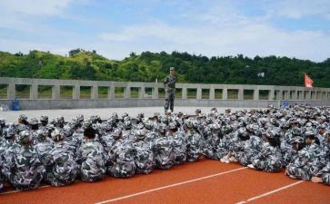 观训心得500字推荐7篇