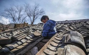 霍都孤儿的读后感参考7篇