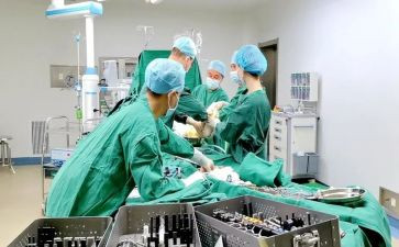 骨科工作心得体会最新6篇