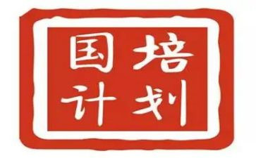 教师国培计划培训总结8篇