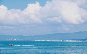 海之恋读后感精选7篇
