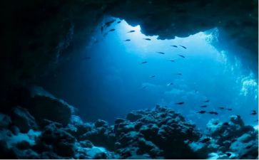 海底两万里2万里读后感精选6篇