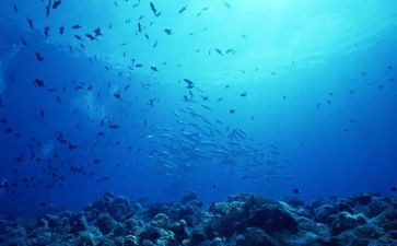 《海底捞》读后感6篇