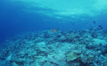 海底两万里2万里读后感最新5篇