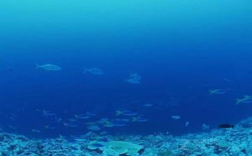 海底两万底的读后感最新8篇