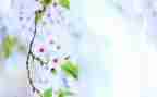 哈姆雷特的读后感1000字7篇