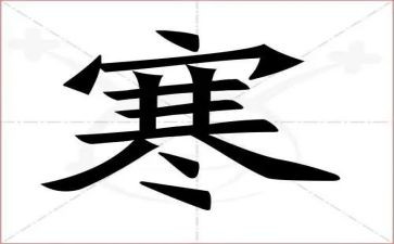 寒假大学生志愿者心得体会8篇
