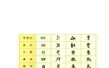 我和汉字的故事作文模板5篇