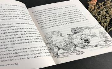 黑焰的读后感100字参考8篇