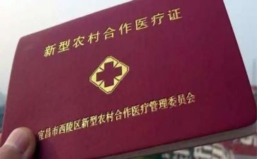 2024年合疗工作总结报告参考8篇