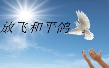 和平的战争的读后感优秀5篇