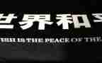 和平战争的读后感6篇