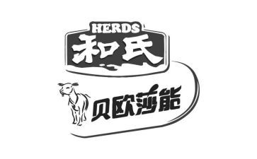 姓和氏观后感推荐7篇