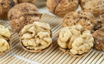 打核桃作文7篇
