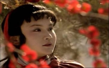 《红楼梦》的读后感100字参考7篇