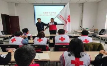 市红十字工作总结8篇