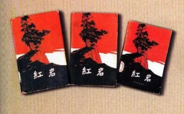 红岩900读后感精选8篇