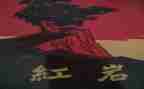 写红岩读后感800字8篇