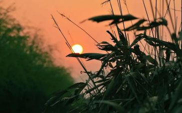 怀念萧读后感推荐6篇
