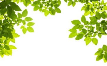 关于环保得讲话稿6篇
