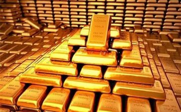 黄金豹读后感6篇