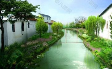 与环境有关的作文7篇