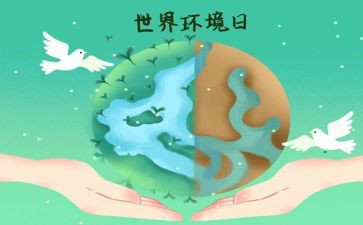 六五环境日宣传总结5篇