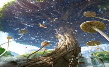 幻想岛作文5篇