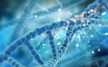 理化生组第二学期工作计划6篇