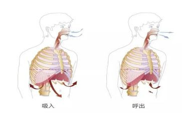 呼吸科护士个人总结7篇