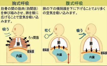 呼吸科护士工作计划7篇