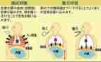 呼吸科护士工作计划7篇