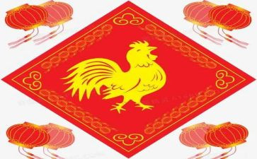 假如我是一只鸡作文600字7篇
